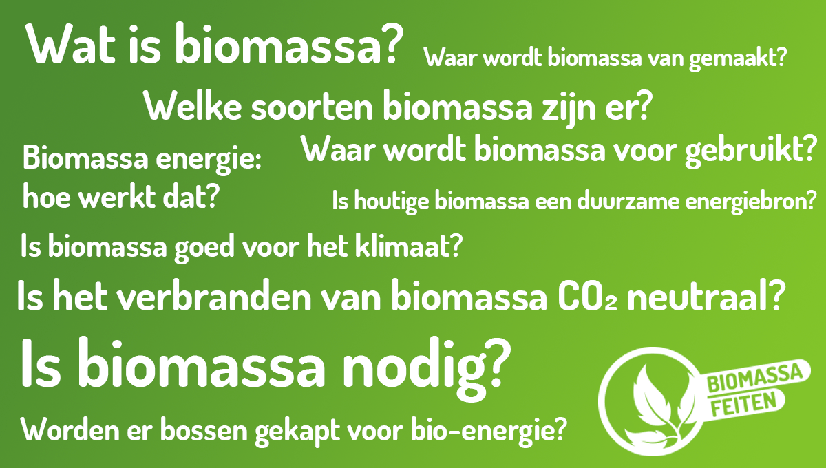 Vragen En Antwoorden Over Biomassa - Biomassafeiten